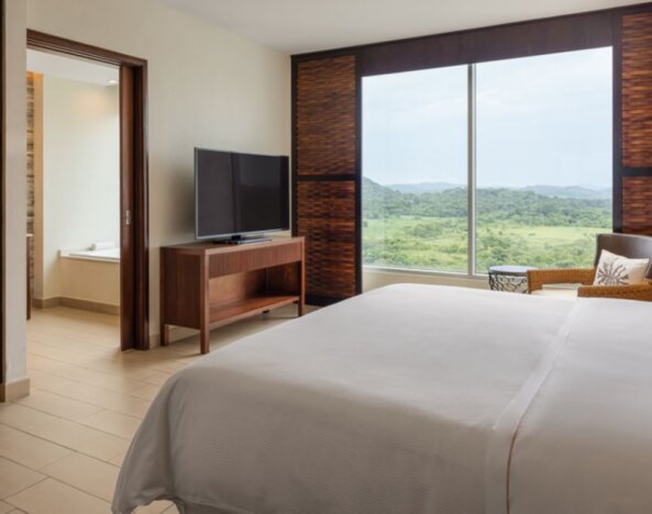 Deluxe King Room with Ocean View, featuring a private bathroom with amenities, a king-size bed, a safe, a desk, a telephone, ironing facilities, a kettle, a coffee maker, a hairdryer, cable TV, and an alarm clock.